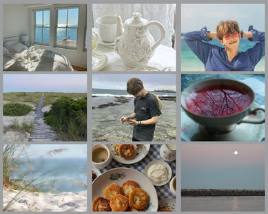 NOCTIVAGANT MINIMONI VAMPIRES